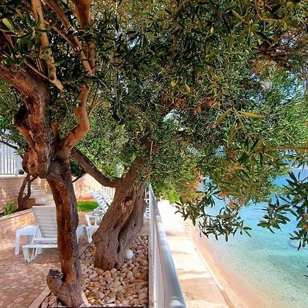 Apartments Santic Podaca エクステリア 写真